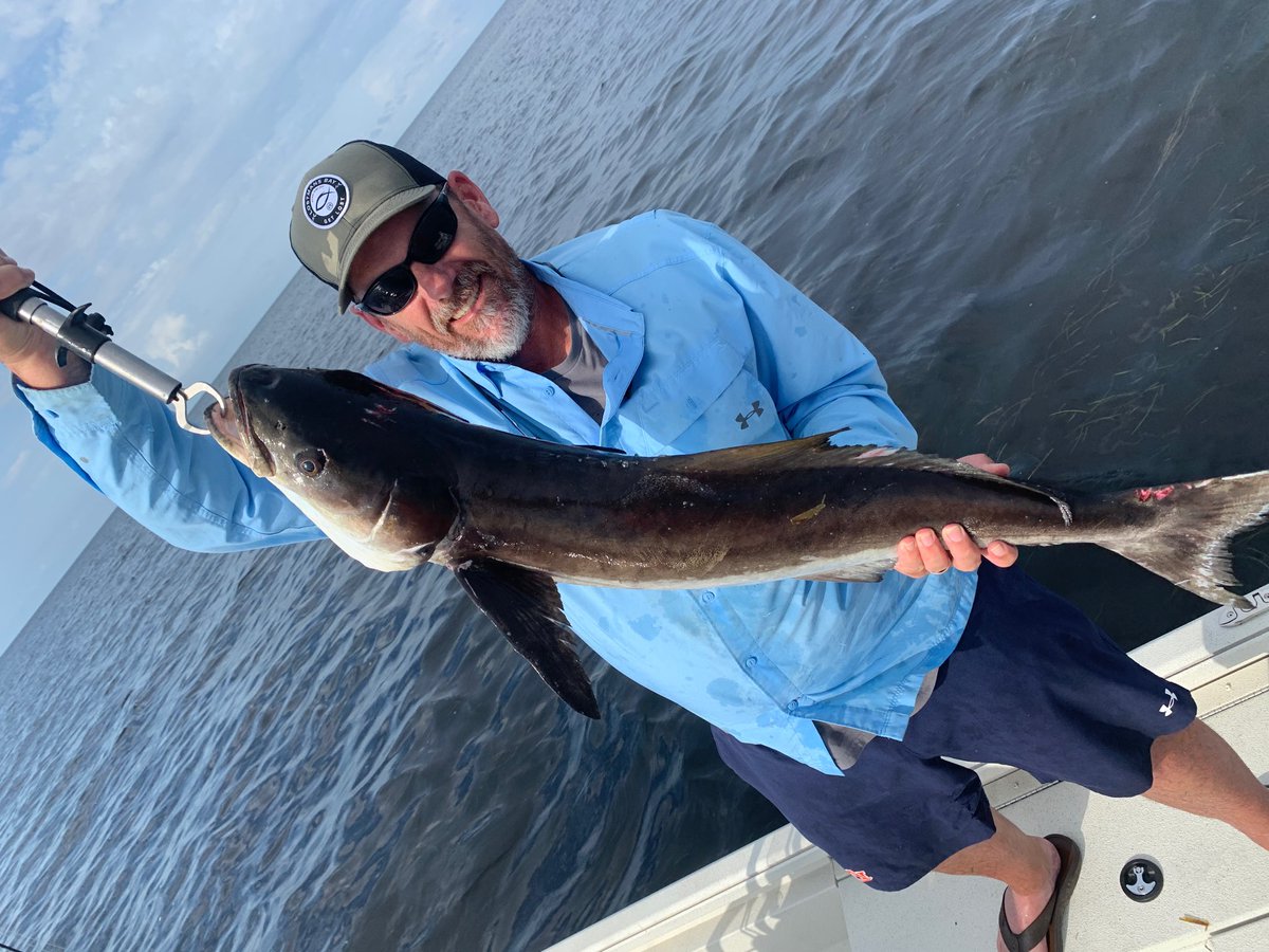 George Bobo (GP) tweet media