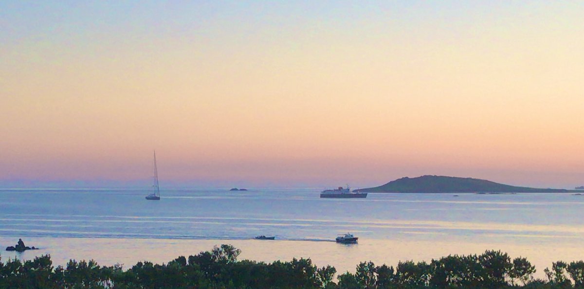 munkrunkey's tweet image. #dolphin #scilly #gigs #stmartins