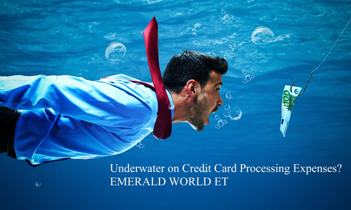 "Merchant Statements are like boxes of chocolates, you never know what you might find there. But generally when we find 20% savings it's worth the switch." -KN 
Nationwide: Fax a recent statement to 323.512.7070 for a complimentary review. 
emeraldworldet.com