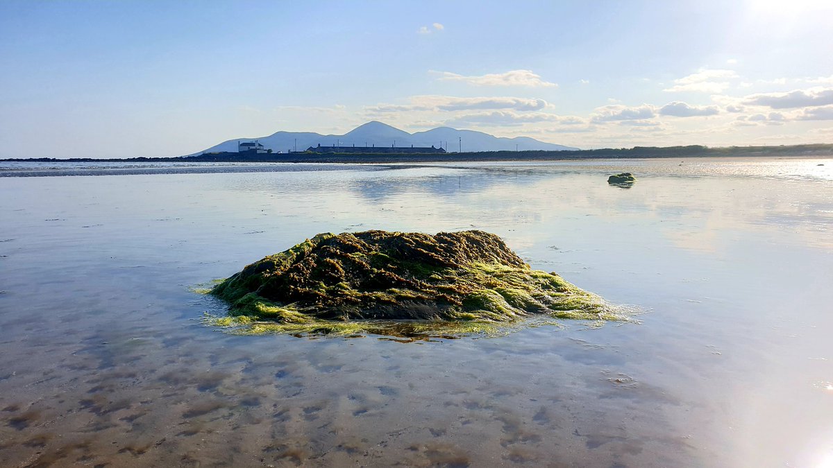 rosco1407's tweet photo. Fantastic Evening Dip: Two Mountains...
#mournes #tyrellabeach #northernireland @Mournelive @NTMournes @visitmourne @wearetrekni @WeatherCee @barrabest https://t.co/PKO34QS4Yc