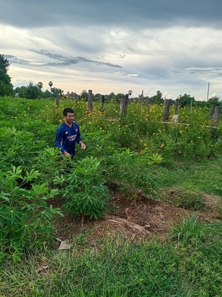 កំពង់ធំ(កំពង់ថ្ម) tweet media