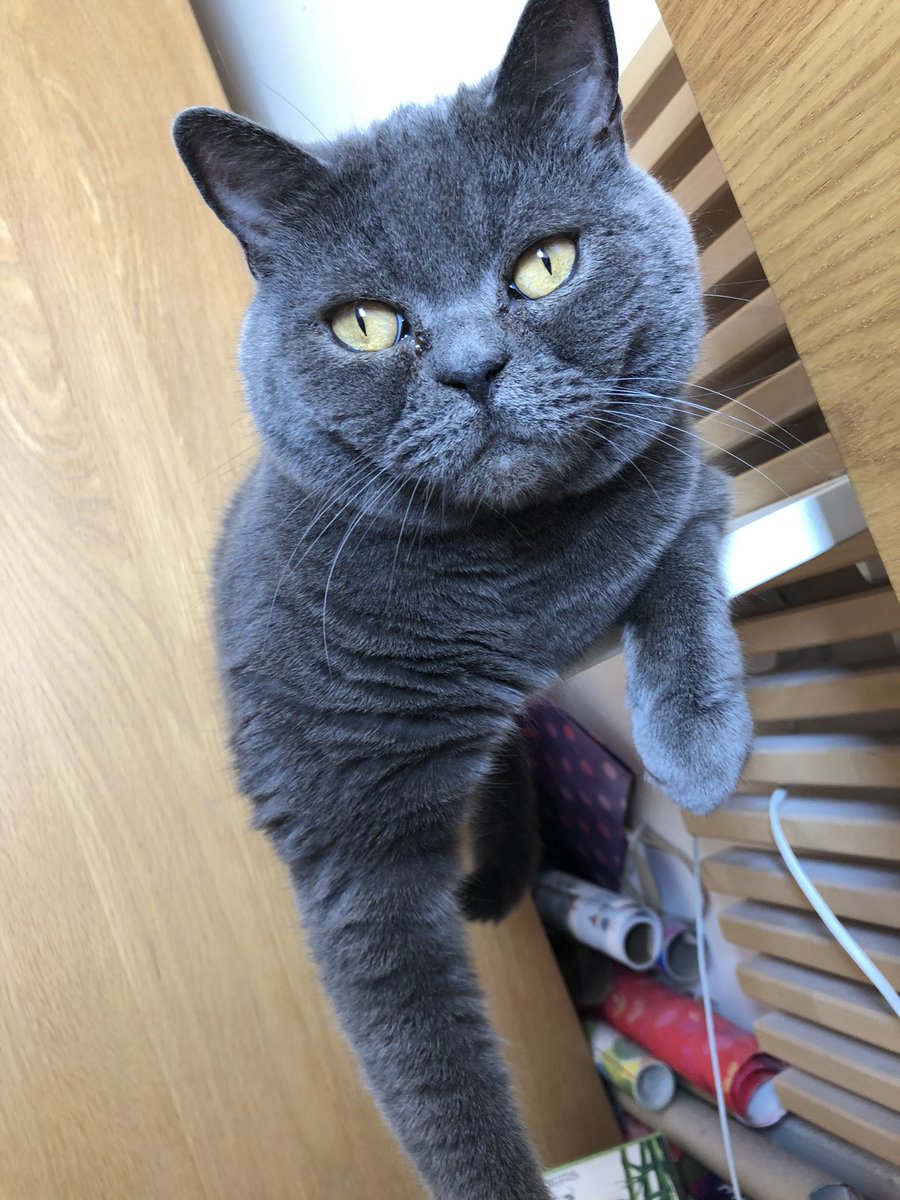 Kim Louise tweet media