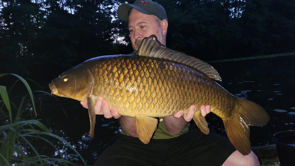 This lake always blows me away with how stunning it is and off to a great start with a gorgeous dark common on the bank 🎣🍻 Thank You <a href="/ChurchwoodFish/">Churchwood Fisheries</a>