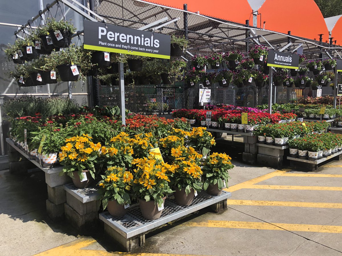 Linda Burkins tweet media