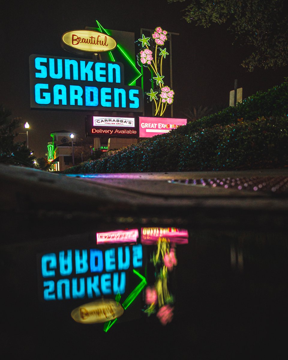 .<a href="/SunkenGardens/">SunkenGardens</a> - where you can escape to a botanical paradise in the midst of St. Pete's bustling city. When was the last time you visited St. Pete's oldest roadside attraction? 🌿🌸 #SunkenGardens #StPete