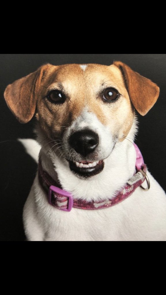 Jill cundell tweet media