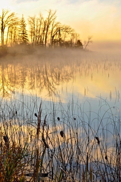 Booth 110 at Bemidji Art in the Park this weekend is selling beautiful outdoor photos and coasters to benefit the Science Center.  The Pretty Nice Outdoor Photos booth is donating half of all proceeds (not just profits) to the Center.