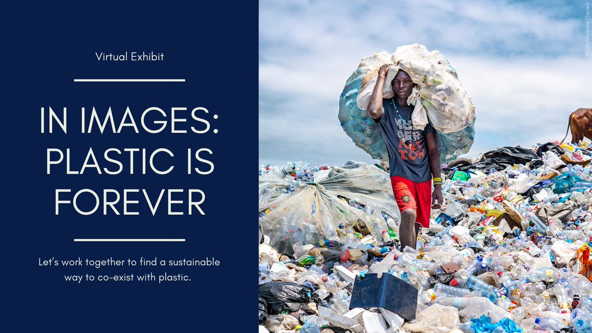 UN's tweet photo. By 2050, there could be more plastic than fish in the ocean. The time to #BeatPlasticPollution is NOW.

The incredible images from around the world featured in this inspiring exhibit show how #PlasticIsForever: https://t.co/nPGl2lNJqs https://t.co/pFKyJzkUdZ