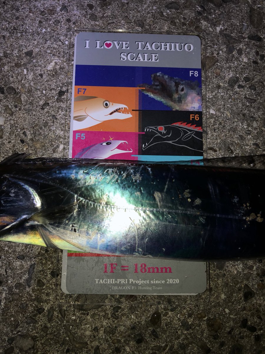 白いたち 岡村 Siroitatii Twitter