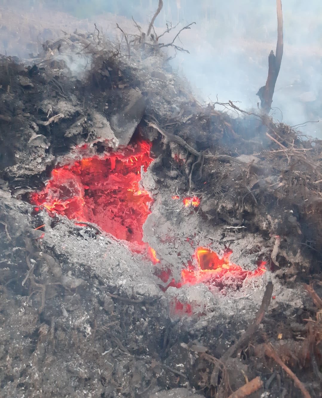 Dublin Fire Brigade on Twitter: 