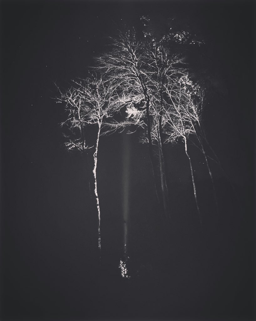 New additions to the sleep list...🥀

spoti.fi/3erSBqc

#ambient #sleep #spotify #playlists