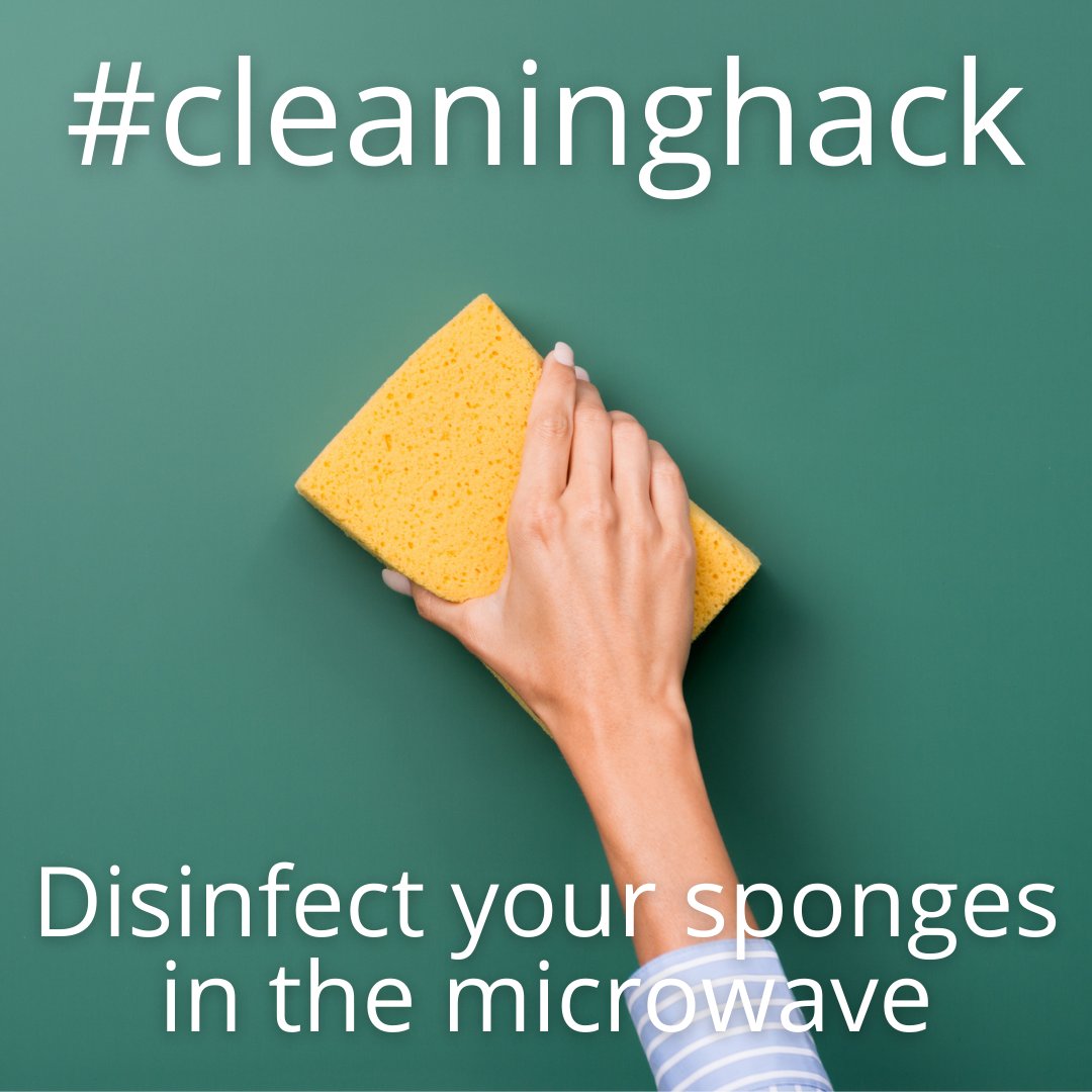 howardsreferral's tweet photo. Keep your sponges clean!

Simply microwaving damp cleaning sponges for 90 seconds can reduce the amount of bacterial on them by up to 99%

#cleaninghacks #cleaningmemes #texascleaning #lacleaning #losangelescleaning #cleaninglife #cleaninglifestyle #housewives #cleaninghack https://t.co/mz7gTkKDvg