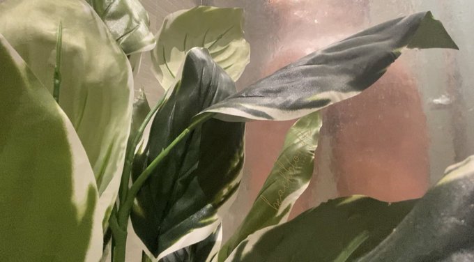 TW Pornstars - BeachBlonDDe. Pictures and videos from Twitter.