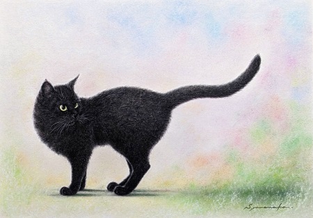 山中翔之郎 19日から始まる聖路加個展に出品する新作のご紹介です 10年前に描いた作品と同じテーマを 現在の私なりに再現してみました 振り返ってみたら パステル 50cm 35cm 猫のパステル画 聖路加第一画廊 山中翔之郎 黒猫の絵