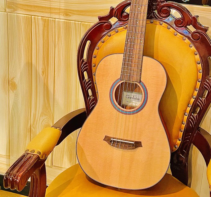 クラシックギターのtwitterイラスト検索結果