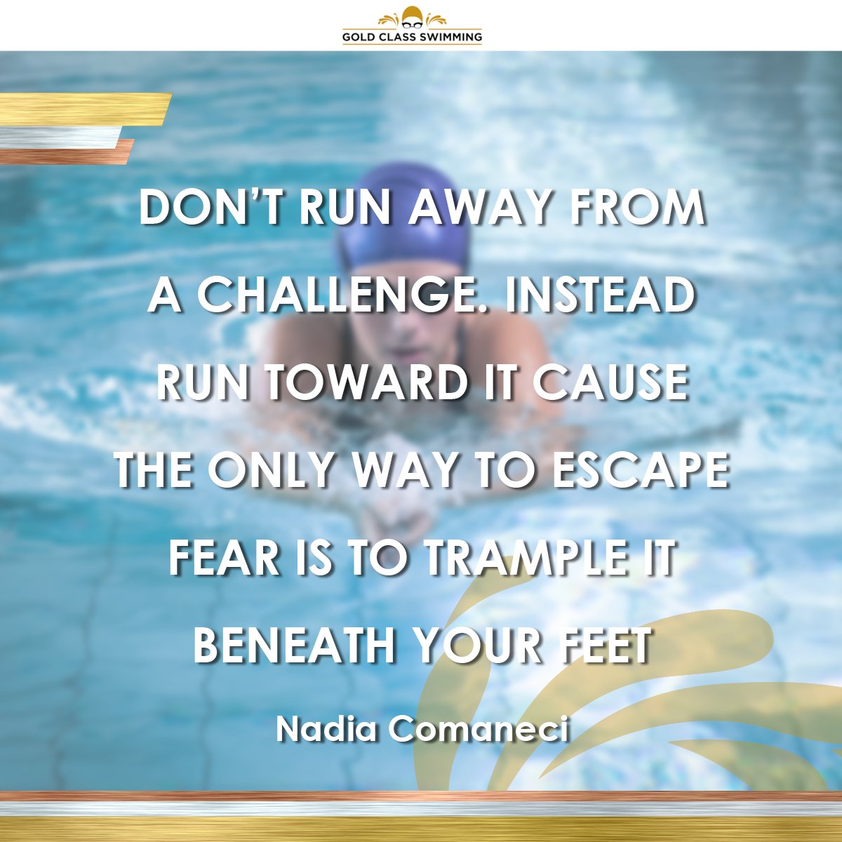 GoldClassSwim's tweet photo. "Don't run away from a challenge. Instead run toward it cause the only way to escape fear is to trample it beneath your feet." Nadia Comaneci https://t.co/YSbj3s1pxi