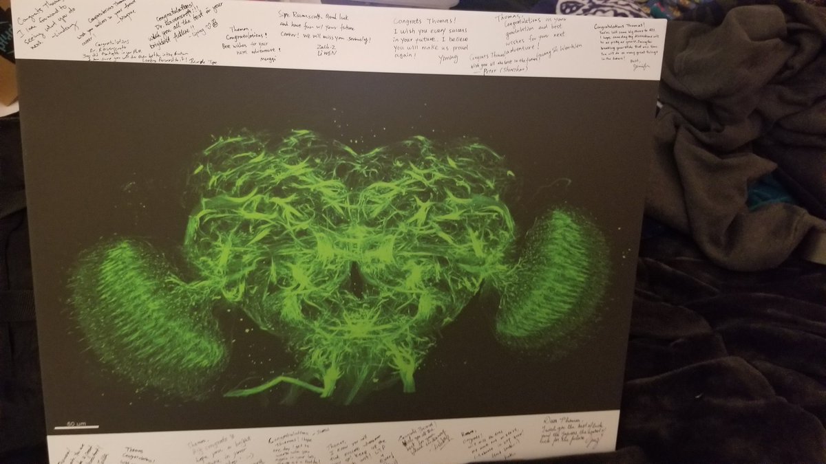 I am delighted to say I successfully defended my Ph.D. thesis! So thankful for all who have helped me get here and to my lab mates for this kind signed gift to remind me of my work!