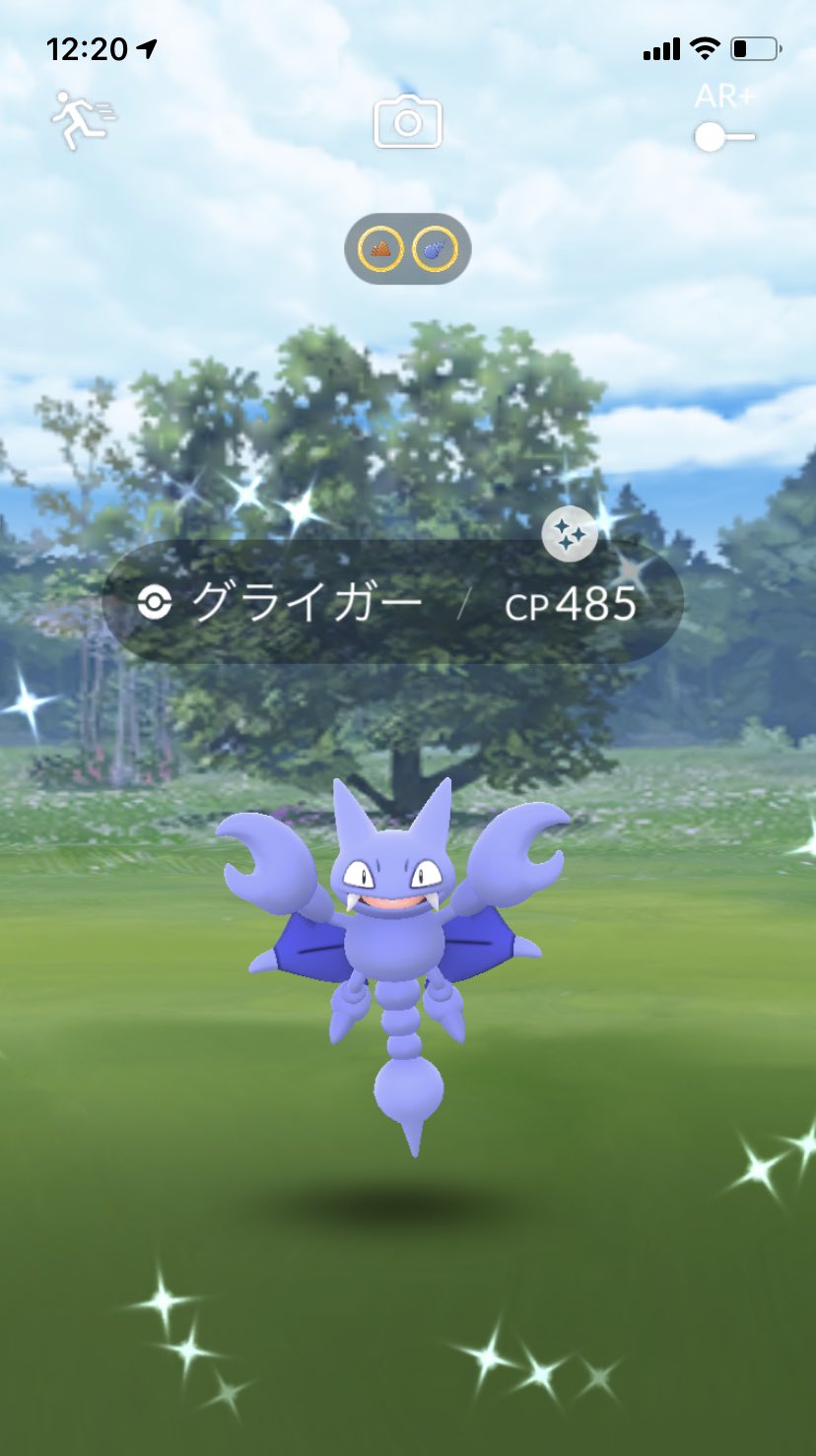 Naoki ポケモン 本日2体目の色違い ポケモンgo グライオン T Co Lduewj9mcl Twitter Naoki ポケモン 本日2体目の色違い ポケモンgo グライオン T Co Lduewj9mcl Twitter