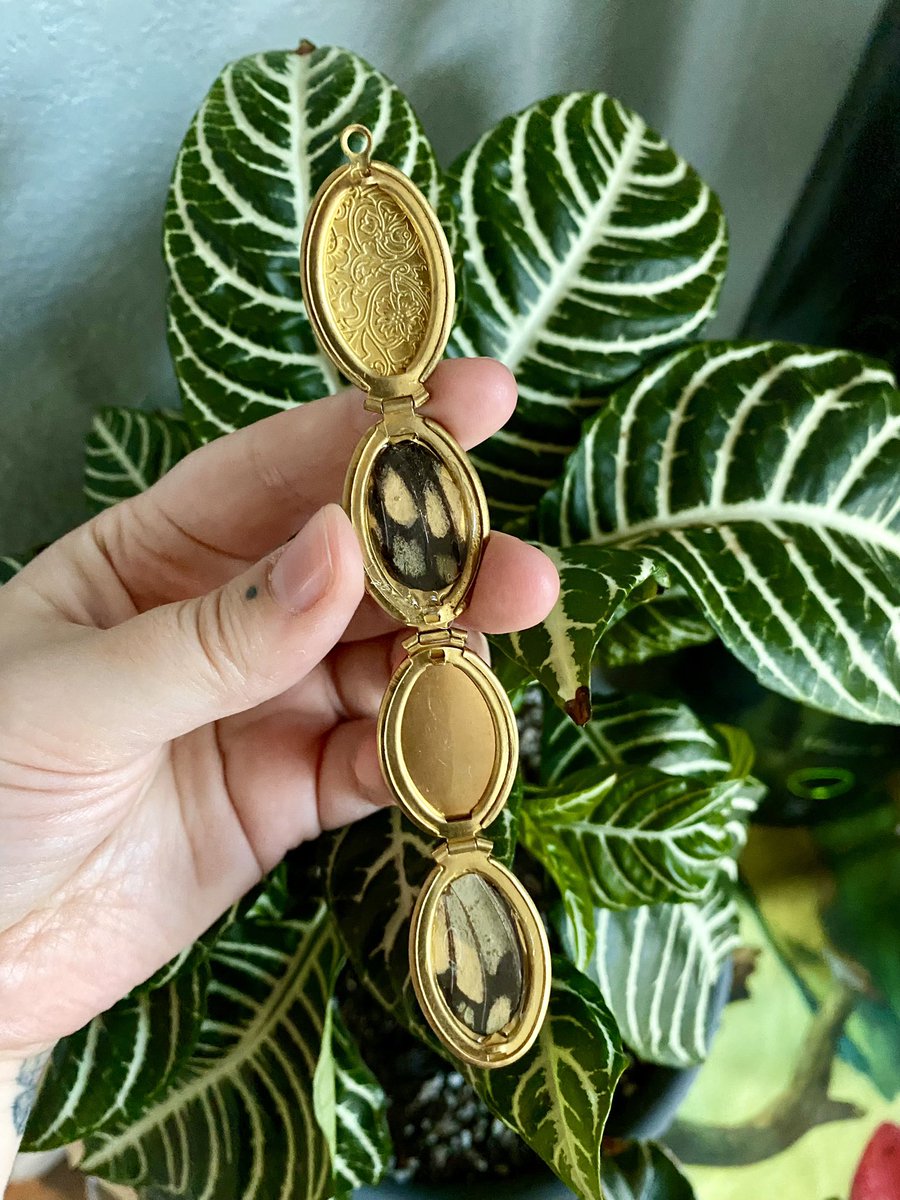IndigoBonesArt's tweet photo. "Life itself is the most wonderful fairy-tale." Butterfly wing lockets ✨ https://t.co/miHj5MFWj8