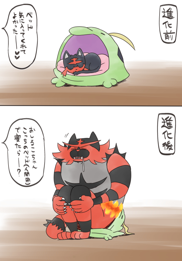 進化前からお気に入りだったベッドを今も愛用しているガオガエン
#ポケモンと生活 