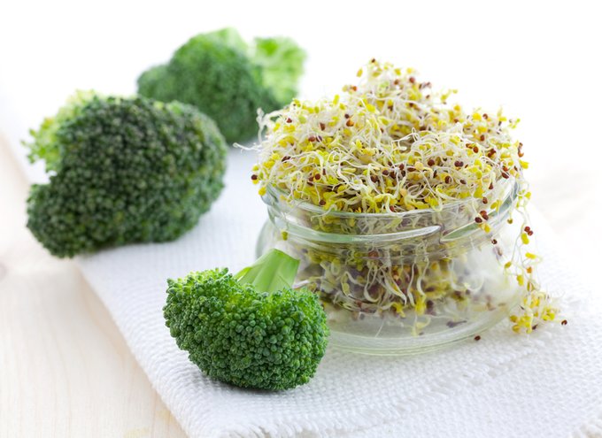 Do Broccoli Sprouts Help Hair Growth | Benefits, Studies, Nutrients In  Sprouts For Hair - Craving Yellow