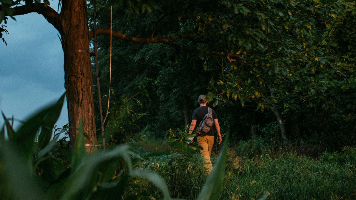 Moultrie's tweet photo. It's looking like a "work in the woods" kinda weekend.
Who agrees?
π· : @daysixoutdoors
#SummerPrep #Scouting #MoultrieProducts #WorkHardHuntSmart #WhitetailHunting #TrailCamera #GameCamera https://t.co/AZrjCOxKsM
