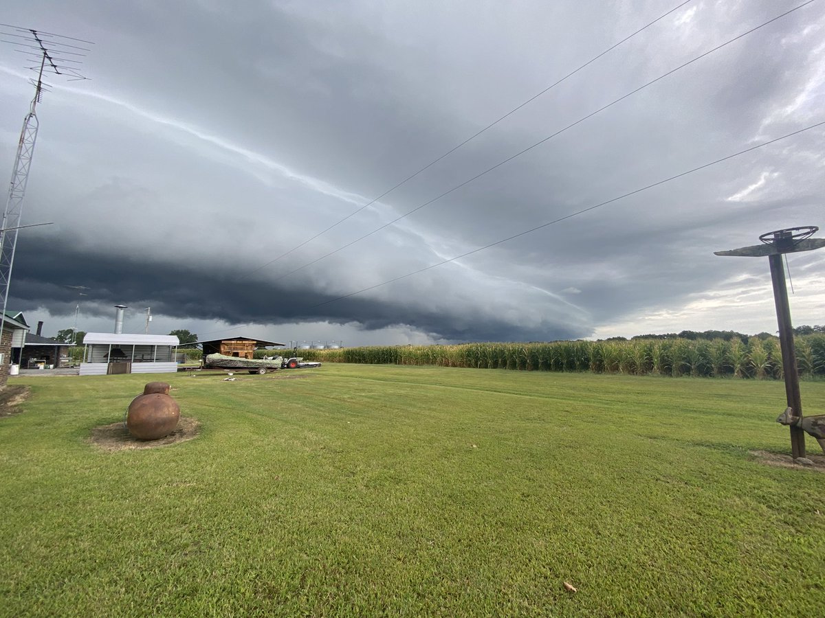 Mississippi Delta weather! <a href="/weatherchannel/">The Weather Channel</a>