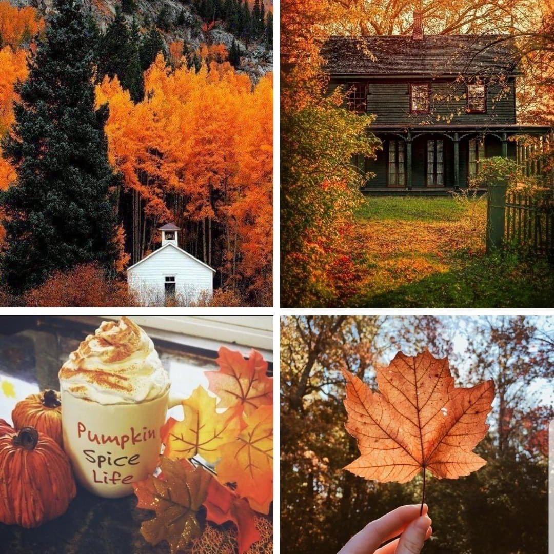 _RareDefined's tweet photo. Ready for this season. 🍃🍂🍁 https://t.co/QBOmSRj7xU