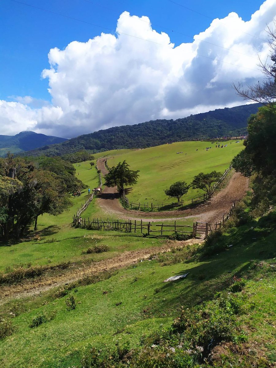 Jose_MZR's tweet photo. Diferentes vistas de Las lomas de #Cubiro, Mi pueblo♥️🌄 https://t.co/TbOEUIwecg