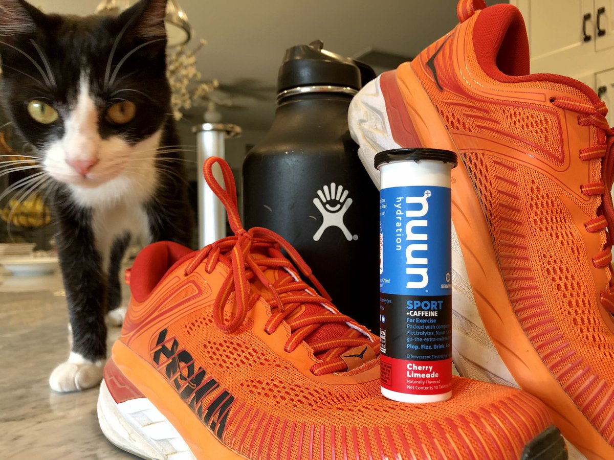 EddyOC_TV's tweet photo. Another 12 hour day of #productionlife, but still have to get a 2,000yd #swim in followed by a 4 mile #run……thanks @nuunhydration for the assist. Let’s see how it goes. #training #ironman #disneytriteam #hokaoneone #hydroflask #walterthecat #FIPsurvivor https://t.co/hDaYjk2jch