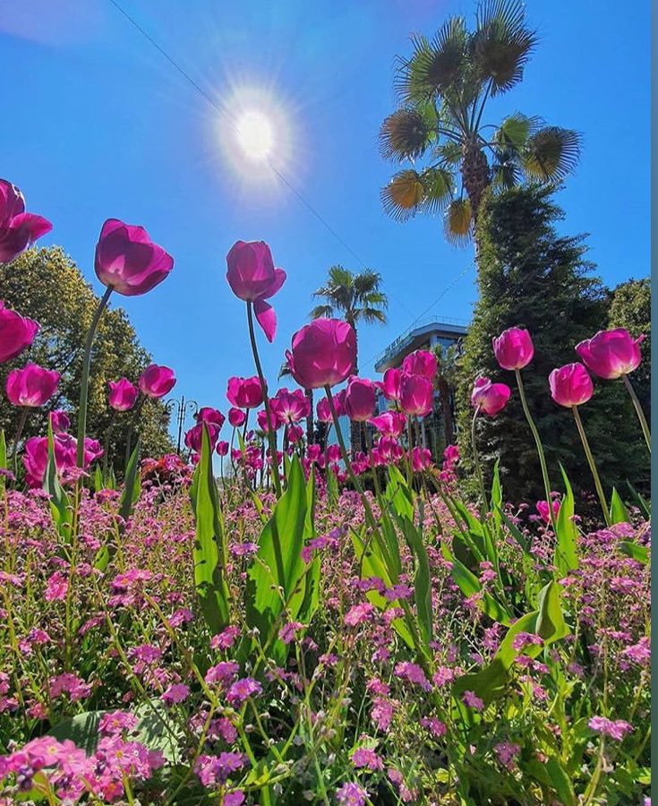 Sabin Marketing and Promotions tweet media