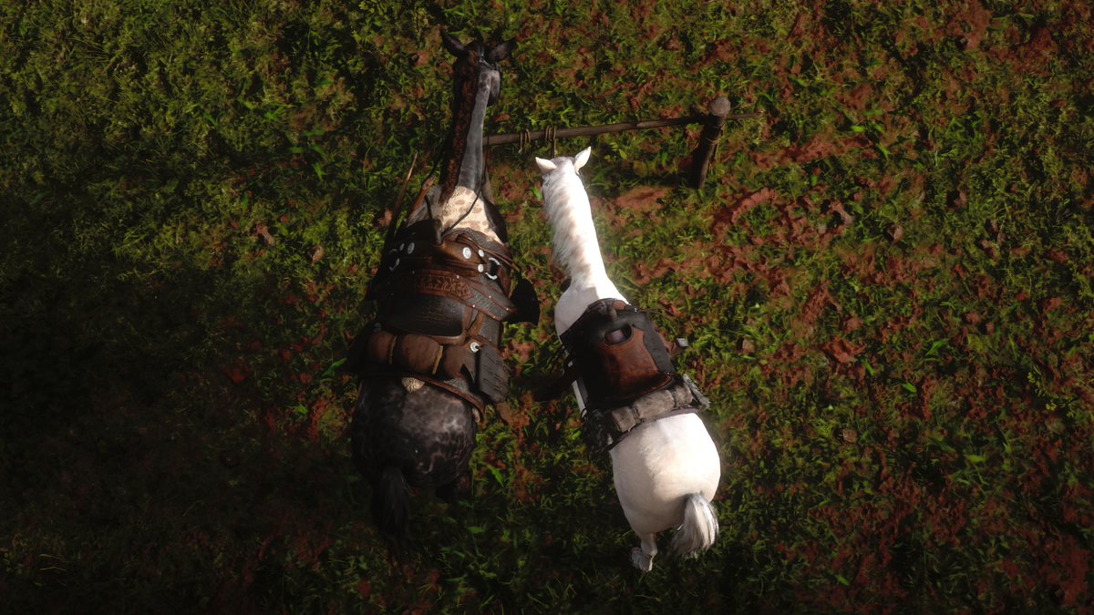GoatKing22's tweet photo. Dutch's horse "The Count" is so small! This was next to Fiasco, my American Thoroughbred. So not even one of the biggest breeds. @RockstarGames #RDR2 #RDRShots #ARTSSnapmatic #LostSoulHunter #LSPhotoStudio #RDR2Photography #VirtualPhotography #Horses #PS5Share #RedDeadRedemption2 https://t.co/ruYSzfJATU