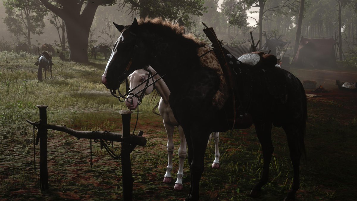 Dutch's horse "The Count" is so small! This was next to Fiasco, my American Thoroughbred. So not even one of the biggest breeds. <a href="/RockstarGames/">Rockstar Games</a> #RDR2 #RDRShots #ARTSSnapmatic #LostSoulHunter #LSPhotoStudio #RDR2Photography #VirtualPhotography #Horses #PS5Share #RedDeadRedemption2