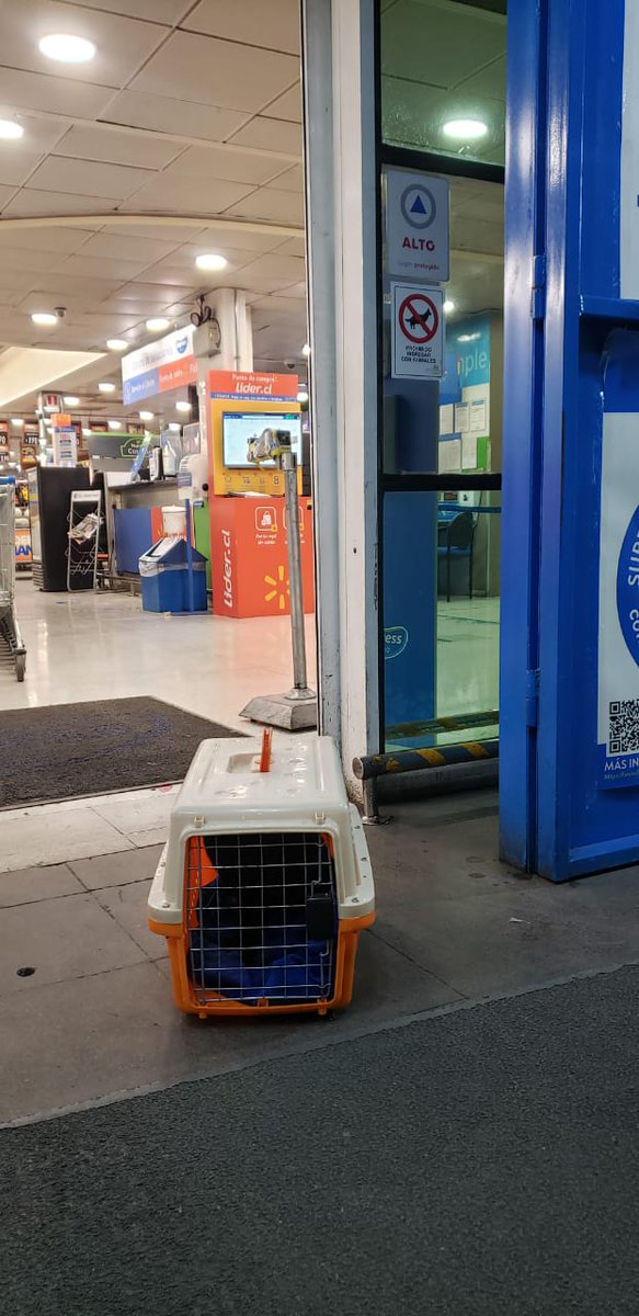 cancrola's tweet photo. @LIDERcl hoy fui al supermercado y no me.dejaron entrar con mi mascota, entiendo que no dejen entrar animaliyos con correas pero el iba en su transportadora, no veo lo mal que pueda hacer... https://t.co/grBGzKOD27