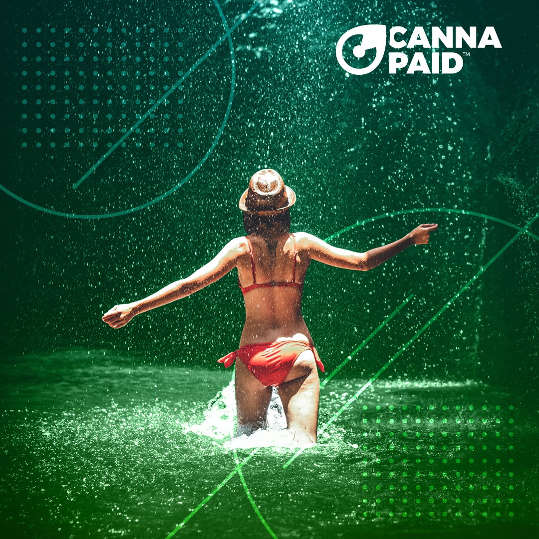 cannapaid tweet media