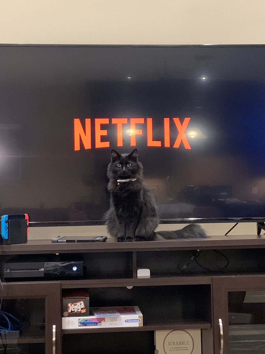 ItsBlarg's tweet photo. Yeah that’s fine Doug I didn’t wanna watch Netflix anyways https://t.co/viI0ot4HV4