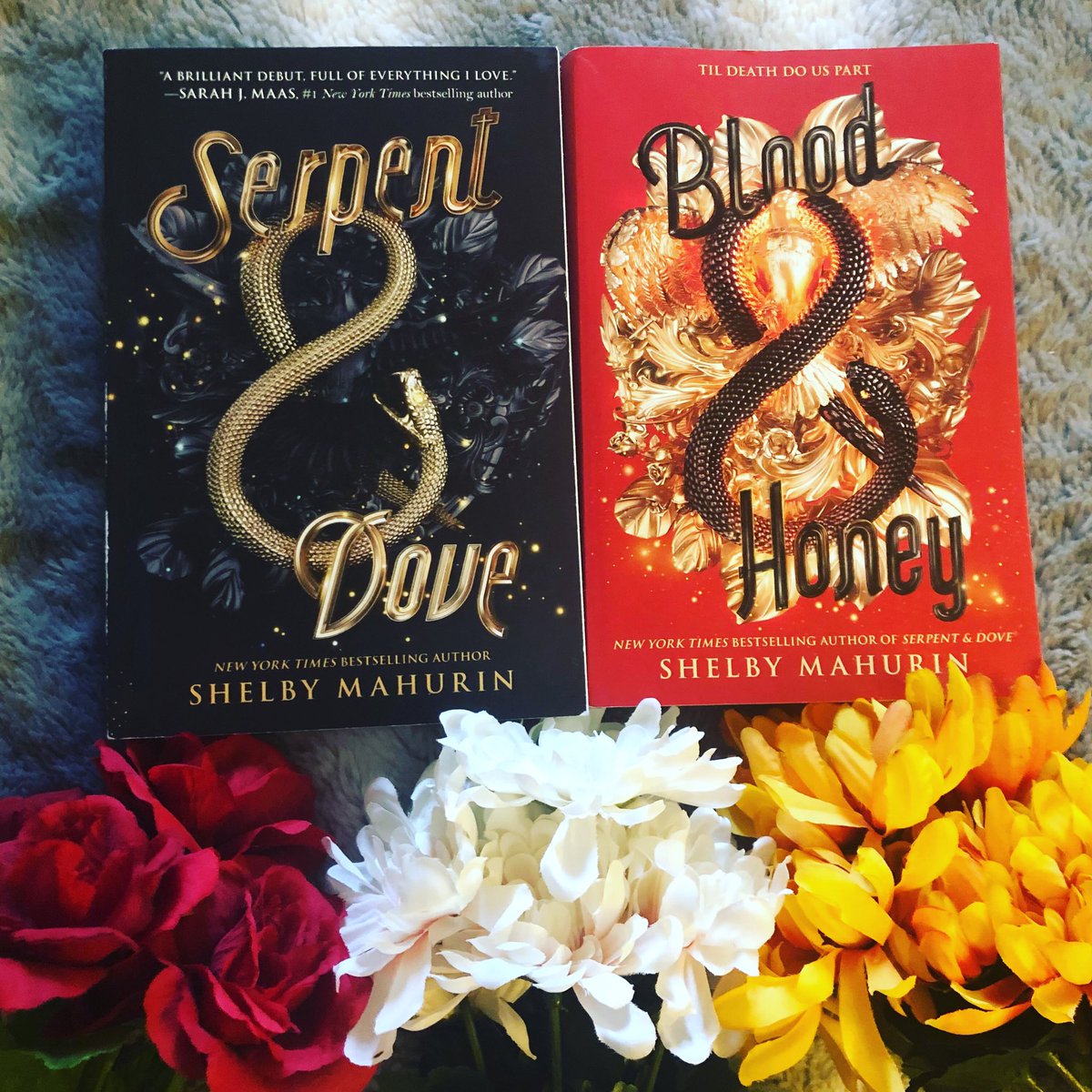 Only ELEVEN DAYS until the thrilling finale of this trilogy! It’s gives you JUST enough time to binge read the first two! @shelbymahurin