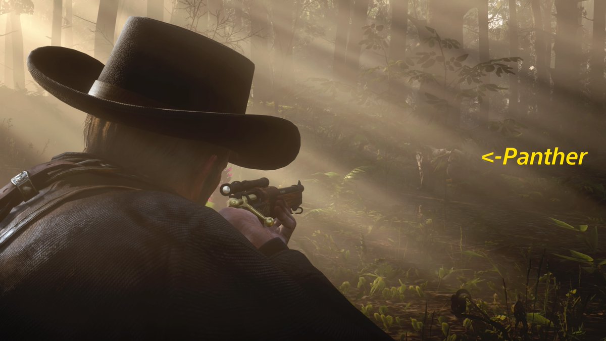 GoatKing22's tweet photo. Decided to go for a late afternoon Panther hunt thinking, "This is probably a bad idea". But I was finally able to sneak up on a perfect Florida Panther! @RockstarGames #RDR2 #RDRShots #ARTSSnapmatic #LostSoulHunter #LSPhotoStudio #RDR2Photography #PS5Share #RedDeadRedemption2 https://t.co/kJfhTkP5JY