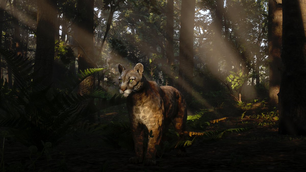 GoatKing22's tweet photo. Decided to go for a late afternoon Panther hunt thinking, "This is probably a bad idea". But I was finally able to sneak up on a perfect Florida Panther! @RockstarGames #RDR2 #RDRShots #ARTSSnapmatic #LostSoulHunter #LSPhotoStudio #RDR2Photography #PS5Share #RedDeadRedemption2 https://t.co/kJfhTkP5JY