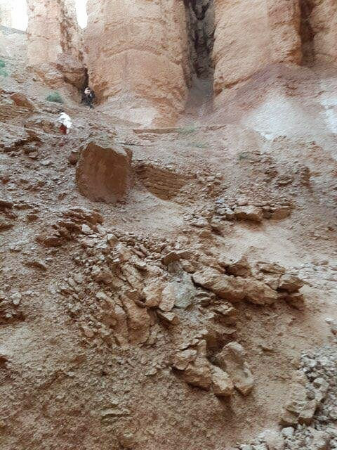 BryceCanyonNPS's tweet photo. ⚠️⛔️ Trail Closure Alert: Wall Street side of Navajo Loop
The park has temporarily closed the Wall Street side of Navajo Loop after a brief heavy rain brought down rocks and mud on the trail late this afternoon. Thankfully there were no injuries caused by this rockslide event.⬇️ https://t.co/9bef58HW08