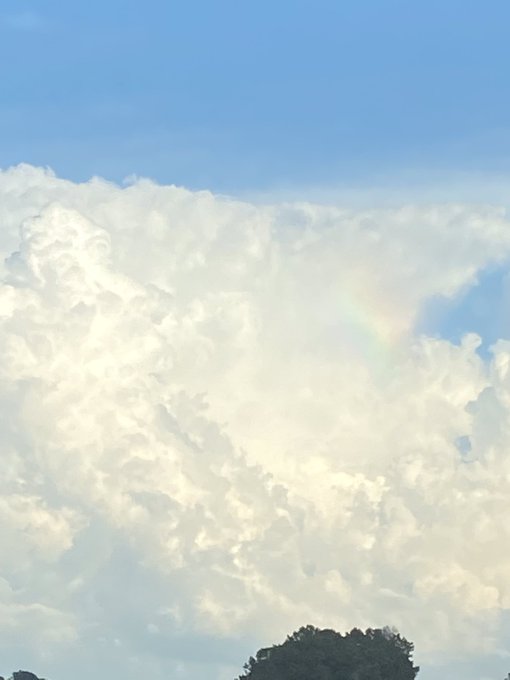 Wow 🤩 Rainbow 🌈 🌧 ☔️ in the sky in Brainerd I got good luck 🍀 #Chattanooga  @StormTrack9Bill @AHarrisonTV<a href="/tag/chattanooga"class="tags"><span>#chattanooga</span></a>