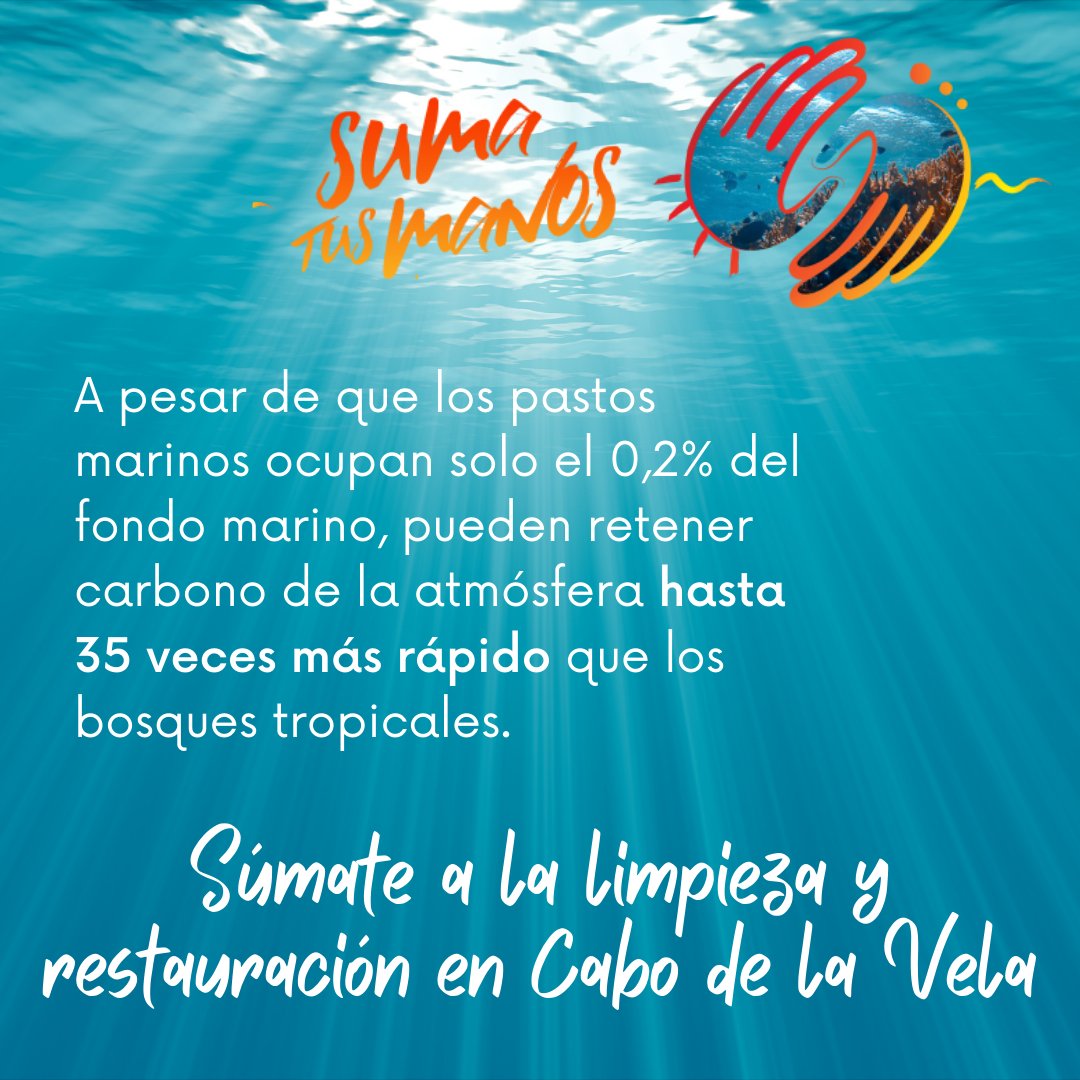 SumaTusManosCol's tweet photo. Mientras los días pasan, queda menos tiempo para poder salvar nuestros océanos. Por esto, es momento de acompañarnos este 31 de julio en la recolección  de plástico en el Cabo de la vela. Inscríbete en el link de nuestra bio. https://t.co/RgHtTs83AG