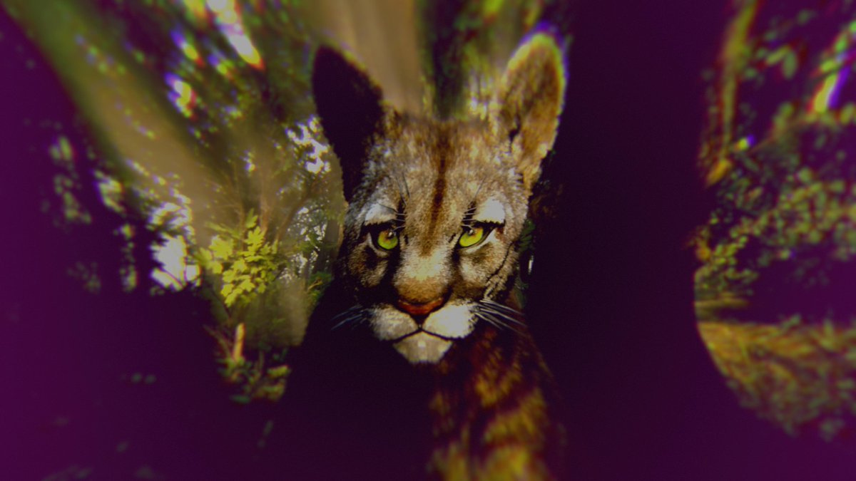 Some of the best Drunk filter shots. Lol <a href="/RockstarGames/">Rockstar Games</a> #RDR2 #RDRShots #ARTSSnapmatic #LostSoulHunter #LSPhotoStudio #VIP #VIIP #RDR2Photography #VirtualPhotography #Beautiful #Nature #Art #Panther #Amazing #PS5Share #RedDeadRedemption2