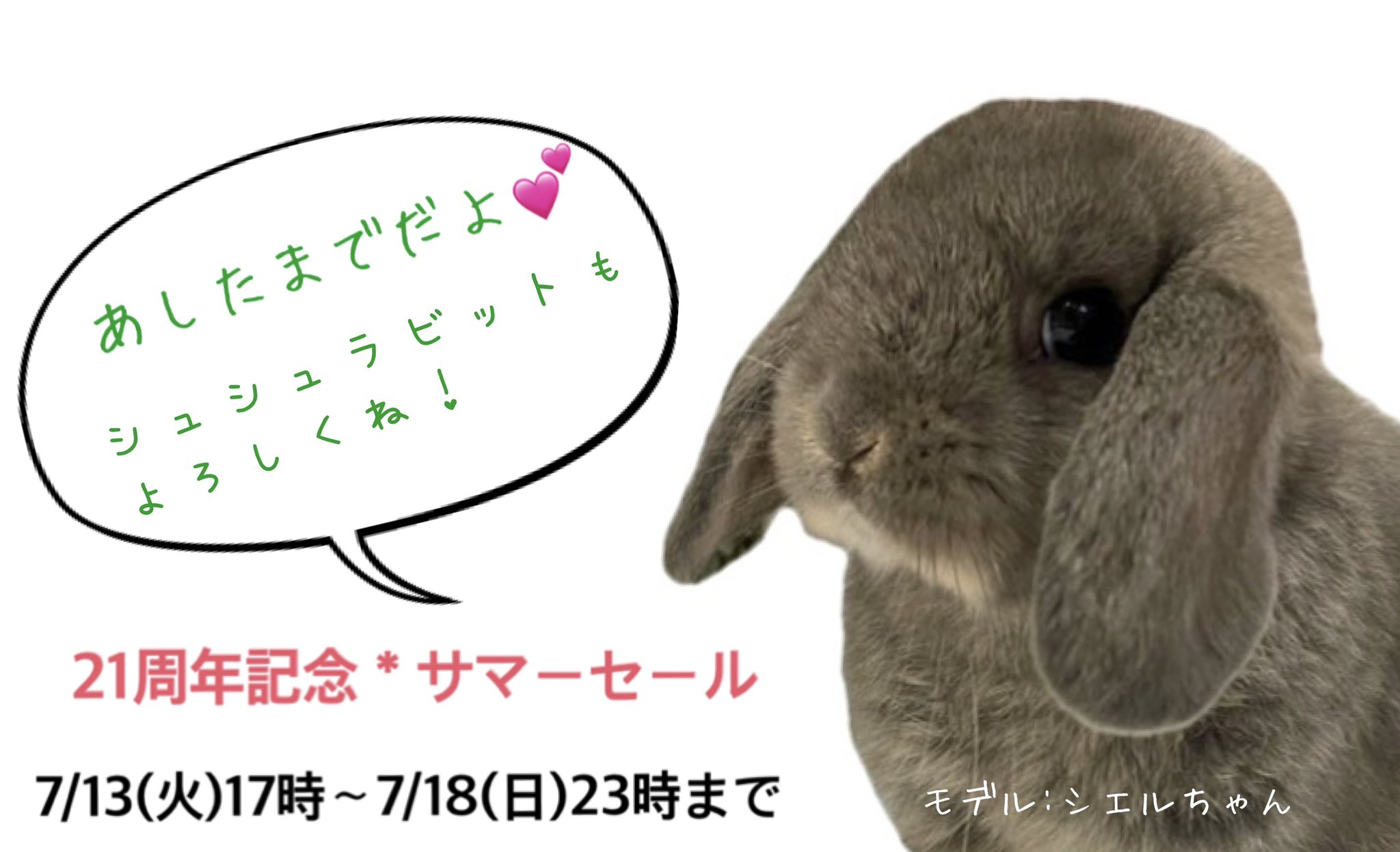 うさぎ専門店ペッツクラブ サマーセールも残り2日 お買い物はお済みですか 全員プレゼントまだ間に合います 最高の グルーミングスプレー シュシュラビットも是非この機会にお試しください T Co Kr6tp8bo44 ネームプレート ペッツクラブ