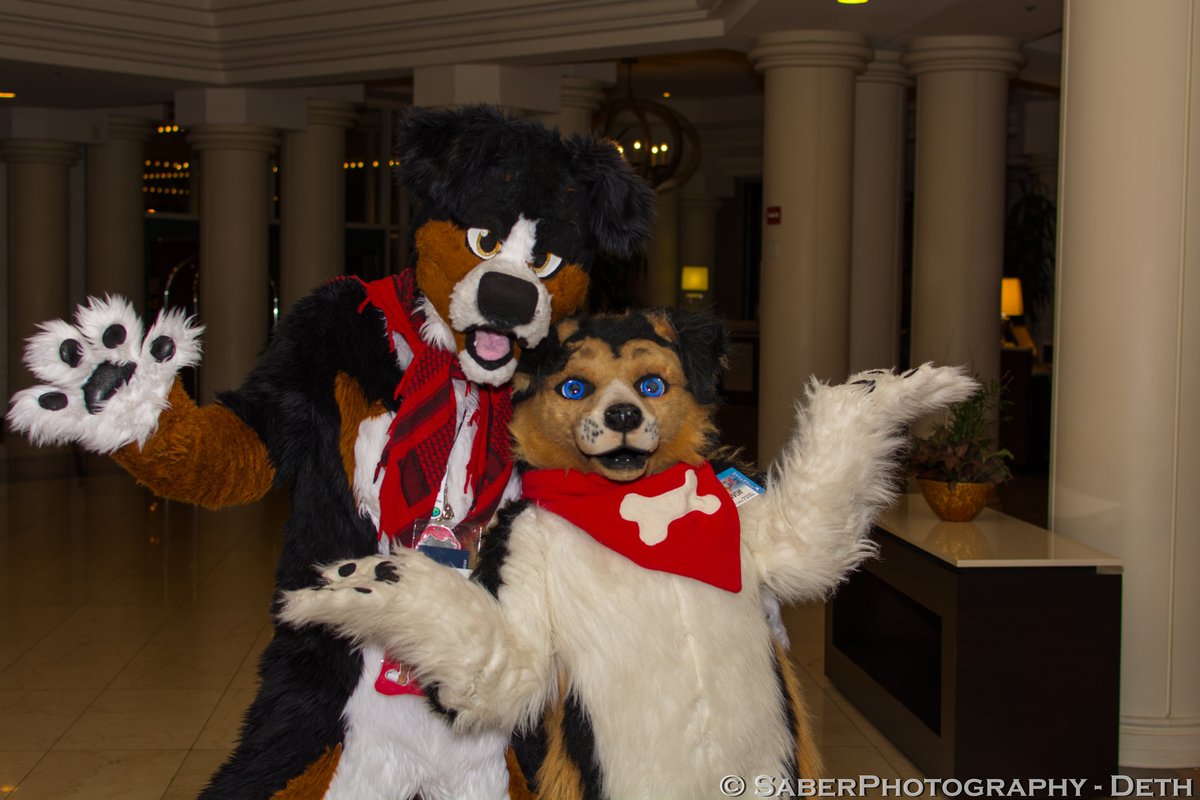 dethbox's tweet photo. 41-44 #DethPhotoDump
From #FTM2016 @FurtheMore
Feat. @st0rmhusky, broccoli/danger (?), Shep Bernese, mini @KelloggCollie, @GrumpyLycan, @DieselBear1, @RedLaurent https://t.co/K45njxoJm2
