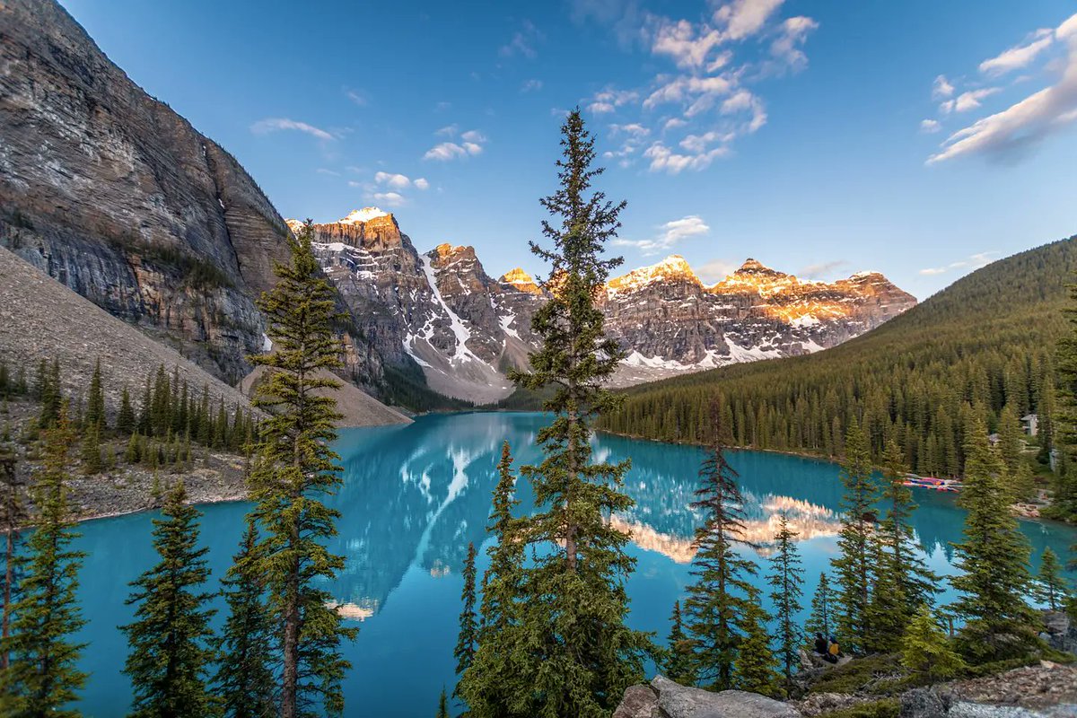 LD_Photolab tweet media