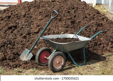 THE BULLSHIT walterkirn.substack.com/p/the-bullshit…