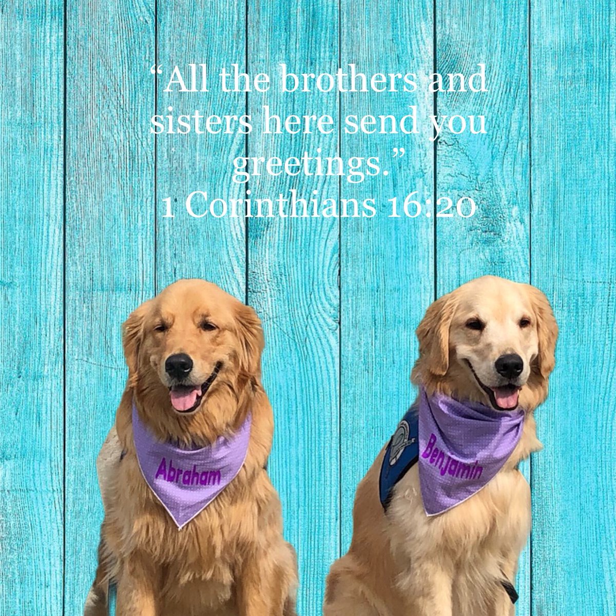 LCCK9Abraham's tweet photo. https://t.co/CHnARLLpTu