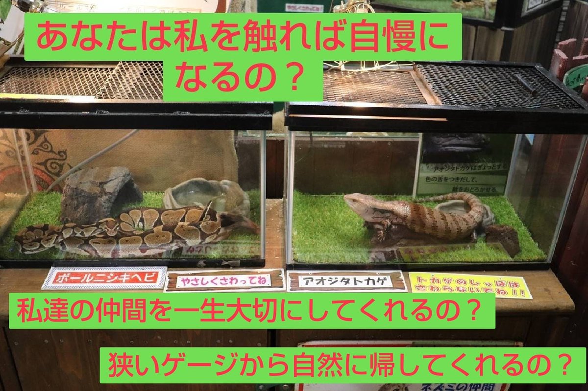めっちゃおもろい動物園 めっちゃおもろい動物園