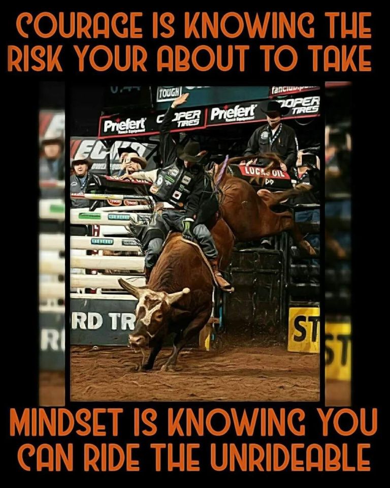 LukeCollinsCD's tweet image. 